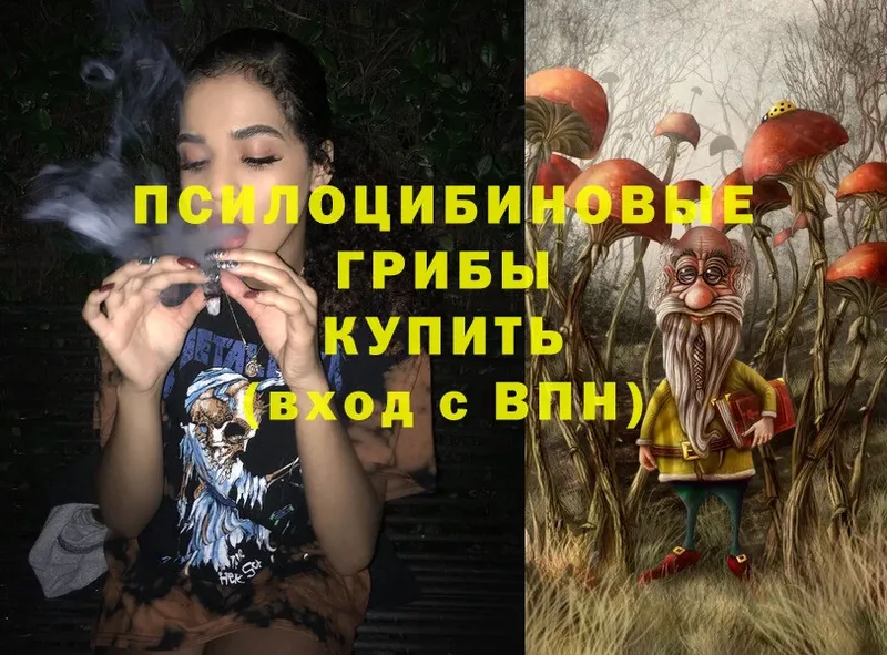 как найти закладки  Усть-Кут  Галлюциногенные грибы Psilocybe 